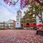Amazing SUITE in Casco Antiguo